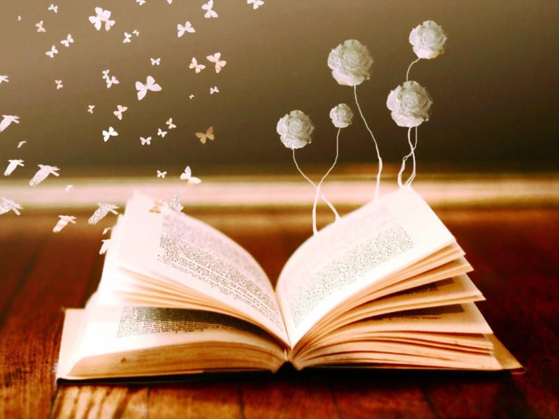 un reporte sobre la lectura y sus metas y funciones
