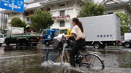 Japón